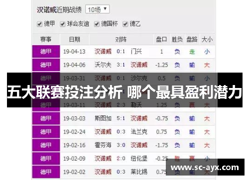 五大联赛投注分析 哪个最具盈利潜力